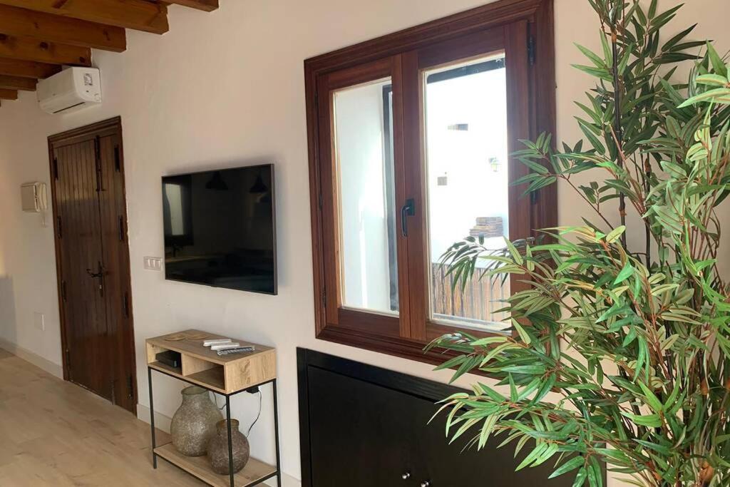 Apartamento Hidden Gem Populo Atico Loft Catedral Cádiz Exterior foto